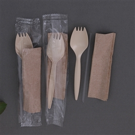 5pc Kit (medium PP fork + knife + teaspoon + straw + napkin)