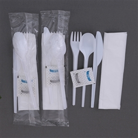 6pc PS kit (Med weight PS fork+knife+teaspoon+napkin+salt+pe