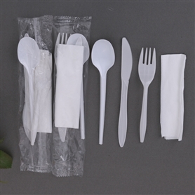4pc kit(PP fork+PP knife+PS teaspoon+napkin kit)