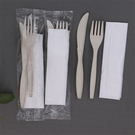 3pc kit(Sleek fork+knife+napkin)